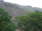 Click on thumbnail for larger photo