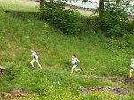 Click on thumbnail for larger photo
