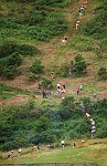 Click on thumbnail for larger photo