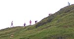 Click on thumbnail for larger photo