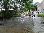 Click on thumbnail for larger photo