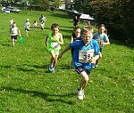 Click on thumbnail for larger photo