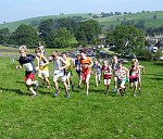 Click on thumbnail for larger photo