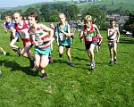 Click on thumbnail for larger photo