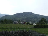 Click on thumbnail for larger photo