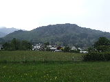 Click on thumbnail for larger photo