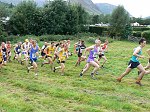 Click on thumbnail for larger photo