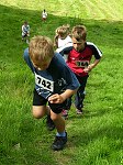 Click on thumbnail for larger photo