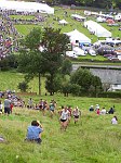 Click on thumbnail for larger photo