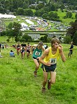 Click on thumbnail for larger photo
