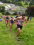 Click on thumbnail for larger photo