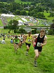 Click on thumbnail for larger photo