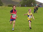 Click on thumbnail for larger photo