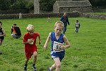 Click on thumbnail for larger photo