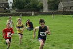 Click on thumbnail for larger photo