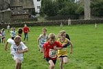Click on thumbnail for larger photo