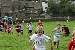 Click on thumbnail for larger photo