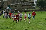 Click on thumbnail for larger photo