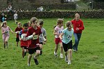 Click on thumbnail for larger photo