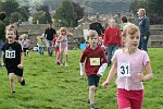 Click on thumbnail for larger photo