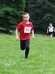 Click on thumbnail for larger photo