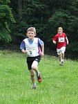Click on thumbnail for larger photo