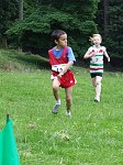 Click on thumbnail for larger photo
