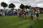 Click on thumbnail for larger photo