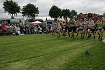 Click on thumbnail for larger photo