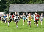 Click on thumbnail for larger photo