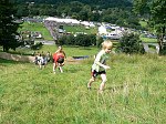 Click on thumbnail for larger photo