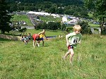 Click on thumbnail for larger photo