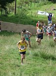 Click on thumbnail for larger photo