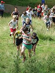 Click on thumbnail for larger photo