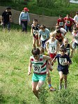Click on thumbnail for larger photo