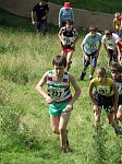 Click on thumbnail for larger photo