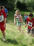 Click on thumbnail for larger photo