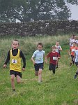 Click on thumbnail for larger photo