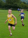 Click on thumbnail for larger photo