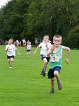 Click on thumbnail for larger photo