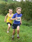 Click on thumbnail for larger photo
