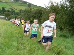 Click on thumbnail for larger photo