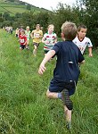 Click on thumbnail for larger photo
