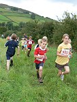 Click on thumbnail for larger photo