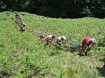 Click on thumbnail for larger photo