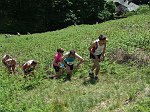 Click on thumbnail for larger photo