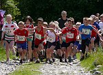 Click on thumbnail for larger photo