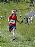 Click on thumbnail for larger photo