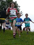 Click on thumbnail for larger photo