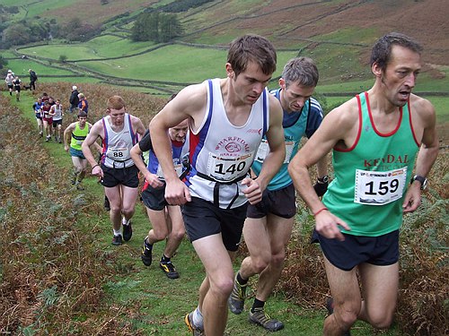 Wasdale Fell Race 2009 - Photo &copy; Phil Done